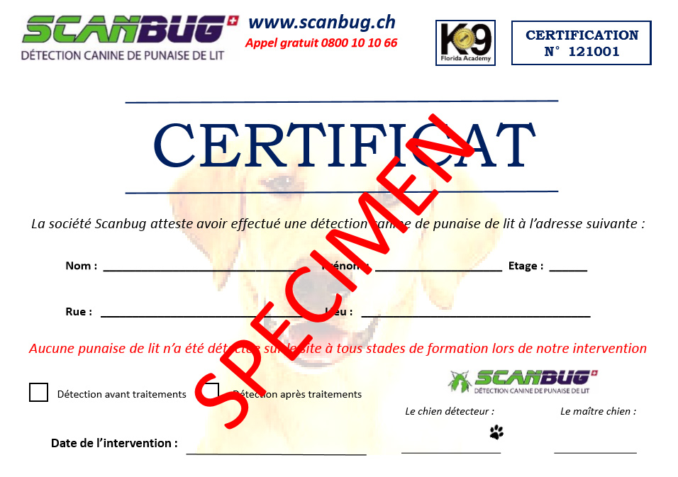 Certificat d'intervention Scanbug